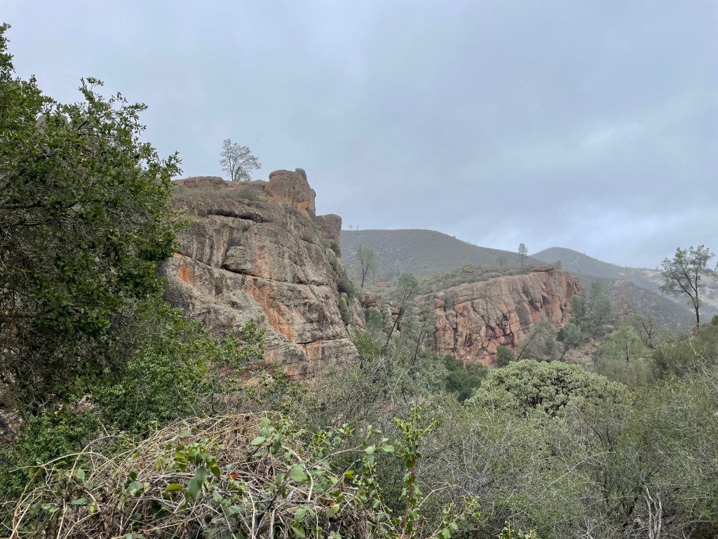 Visiting Pinnacles National Park