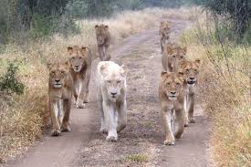 Empaths Are Not Pushovers. We Fight Differently, Though.