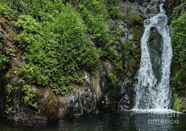 Vichy Springs in Ukiah,&nbsp;CA