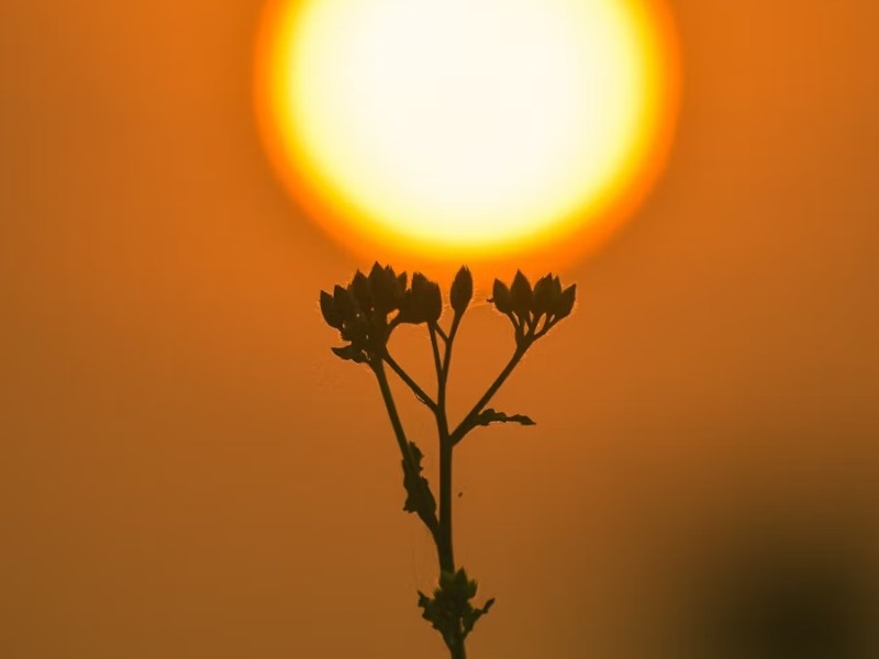 Glorious Sunrises and&nbsp;Sunsets