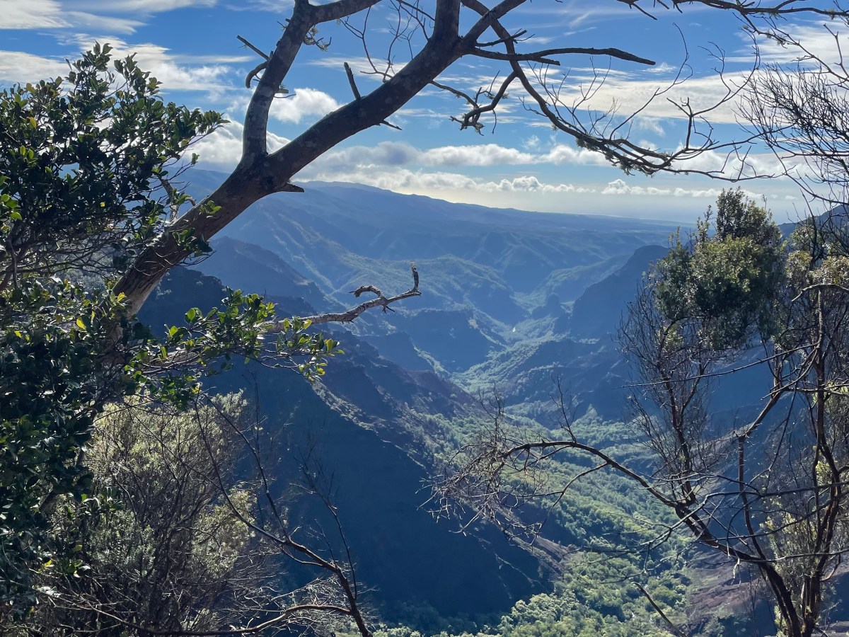 Waimea Canyon in Kauai,&nbsp;Hawaii