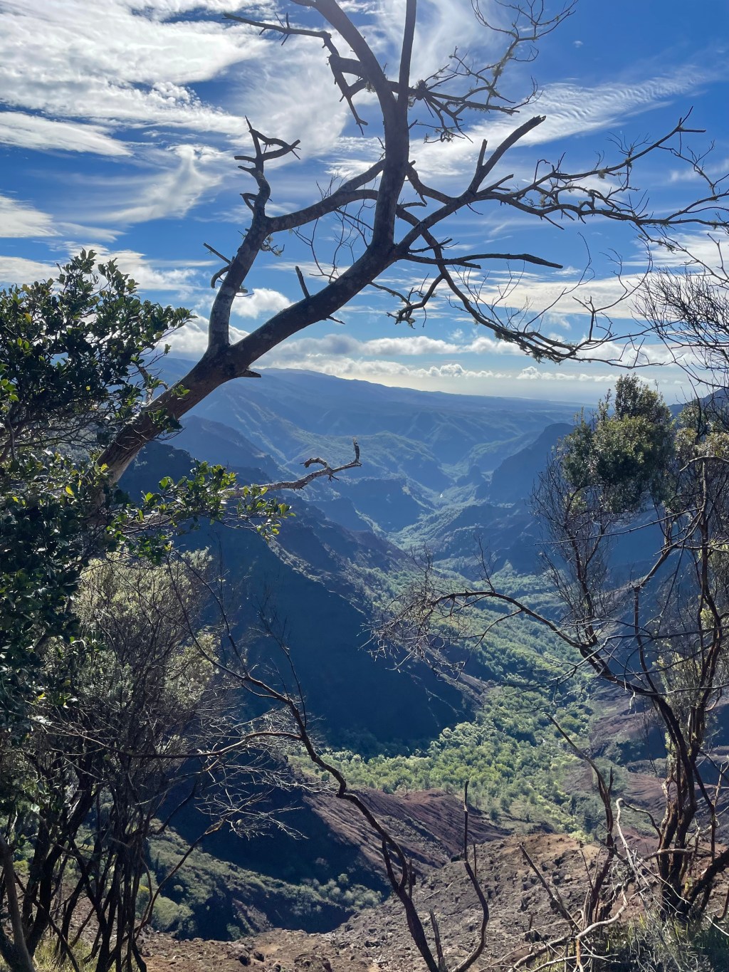 Waimea Canyon in Kauai,&nbsp;Hawaii