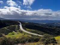 Windy Hill Preserve in Portola Valley,&nbsp;California
