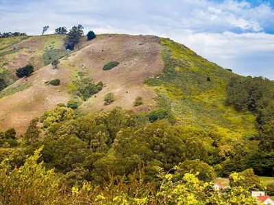Sibley Volcanic Regional Park in the East&nbsp;Bay