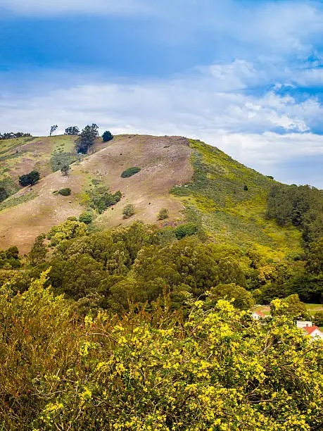 Sibley Volcanic Regional Park in the East Bay